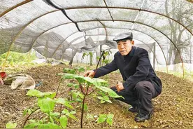 秀山农户杨松胜为啥主动申请退低保图片