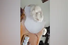 男子一周未去办公室，茶台长出两朵蘑菇视频封面