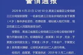 黑龙江4岁女童被虐打生父被刑拘图片