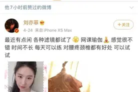 宋承宪深夜点赞刘亦菲自拍照，疑为宣传新剧蹭热度被嘲图片