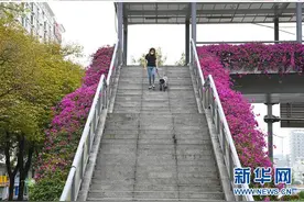 献出“小力量”，勇敢向前冲——回访“90后”志愿者李文琦图片