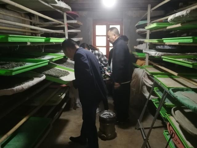 反交是什么