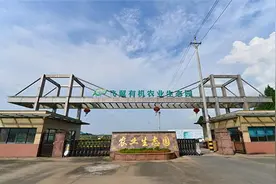 “五一”去哪里玩？嵊州这几条采摘游线路推荐给您图片