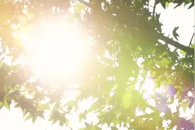感受春光的美好，聆听大自然的声音，就在度假区这个“童话世界”图片