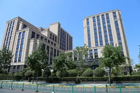 打造枫林HUB 彰显枫林品牌图片