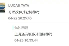除了梧桐，上海还有这些树哦~你发现了吗？图片