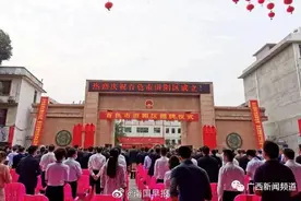 刚刚，百色市田阳区正式挂牌成立图片