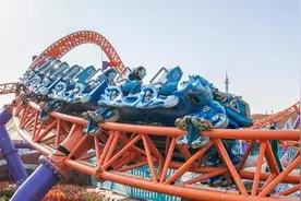 “五一”去主题乐园，如何玩得开心又安全？上海海昌海洋公园游园指导来了图片
