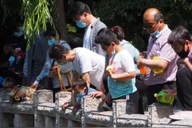 济南街头羽绒服VS短裙露脐装，又到乱穿衣的季节图片