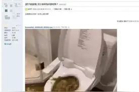 糟心！新房还未入住就污水倒灌，地板全毁…二楼为何屡中招？图片