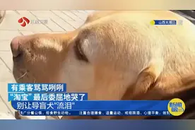 别让导盲犬"流泪"！交警扮盲人带导盲犬坐公交遭拒，公交公司道歉视频封面