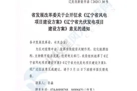辽宁省风电项目建设方案：2025年前可新增投产风电330万千瓦图片