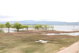 「丽江热线」陆桂华率水利部检查组到丽江检查水旱灾害防御和水土保持工作视频封面