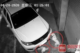 离奇！广西这起交通肇事“逃逸案”，民警调查发现肇事者竟然不是人图片