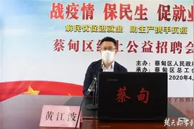武汉蔡甸举办线上公益招聘会，1500+岗位“职”等你来图片