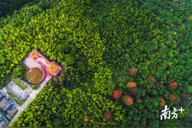 吸一口气吞掉十万个负氧离子！连山喊你来吸氧图片