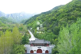 收藏！五一洛阳景区预约方式......图片