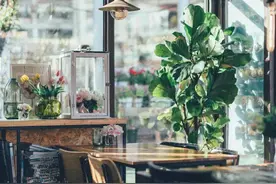 人生如酒（经典好文）图片