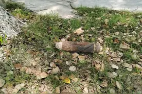 惊！七旬老人挖到一“铁块”，竟然是枚炮弹！图片