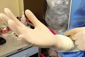 浙大“手模”闪亮登场 勤劳的双手最美图片