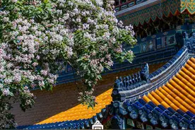 “你好，五月”：故宫国博首博等今起开放，人流稀疏春仍在图片