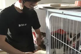来自成都的“猫咪消防员”只为救助流浪猫图片