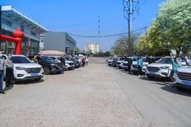 潍柴汽车向“春”而行 首季桃树认领圆满结束图片