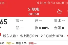 今年首只退市股！“风电第一股”将面值退市，20万户股东用脚投票图片
