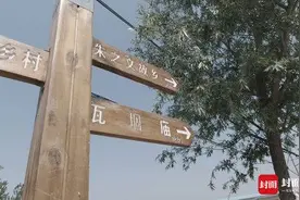 封面深度｜踹门纷争后“围观大衣哥”又现升级版：旅行社组团朱楼村一日游图片
