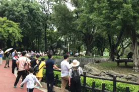 “五一”首日广州动物园仅5000人入园，客流平稳有序图片