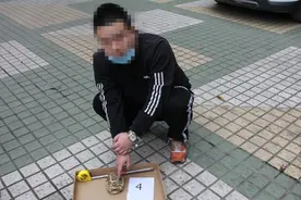 110余只！绵阳破获特大贩卖珍贵濒危野生动物案图片