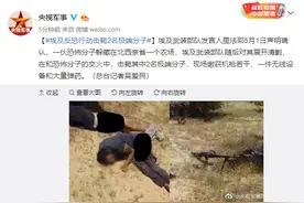 埃及武装部队反恐行动击毙2名极端分子 躲藏在农场中图片