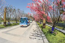 接客量不超30%！五一假期，徐州各景区实行分时预约图片