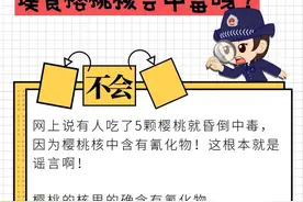 误食樱桃核会中毒吗？图片