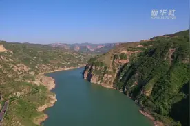 山西平陆：千余只苍鹭黄河崖壁安家视频封面