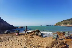 捡海螺、抓螃蟹、挖皮皮虾……走，跟着兵哥赶海去图片