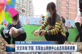 “天空农场”开园 百联金山购物中心业态布局将调整视频封面
