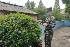 看敬业的兵哥哥在做什么？图片