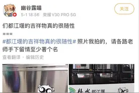 都江堰吉祥物火了！网友：真的很随性…设计方：它的表情是为了更可爱图片