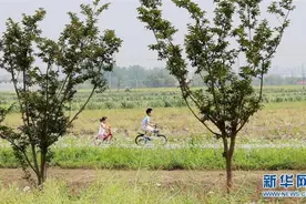 上海：郊野公园游兴浓图片