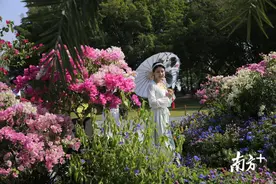 春去夏来！这地方开门就是高楼大厦，也有绿水青山鸟语花香图片