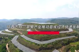 陕西志丹：苹果产业推动县域经济快速发展视频封面