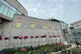 金山这座“天空农场”正式开园图片