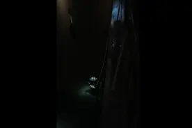 年轻男子在外白渡桥深夜坠河，消防员用绳索牵引成功施救图片