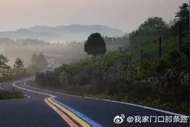 身未动，心已远 | 带你打卡最美农村公路图片