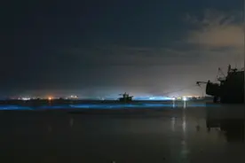 美哭！泉州海湾现成片“蓝眼泪”视频封面