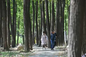 人少景又美 乡村小公园迎来城市游客图片