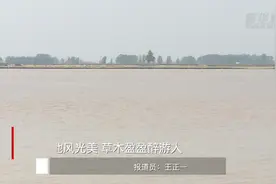 河南开封：黄河湿地风光美 草木盈盈醉游人视频封面