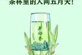 吴裕泰雀舌，茶杯里的人间五月天图片