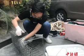在喵星人的宇宙里，他就是“超级英雄”……图片